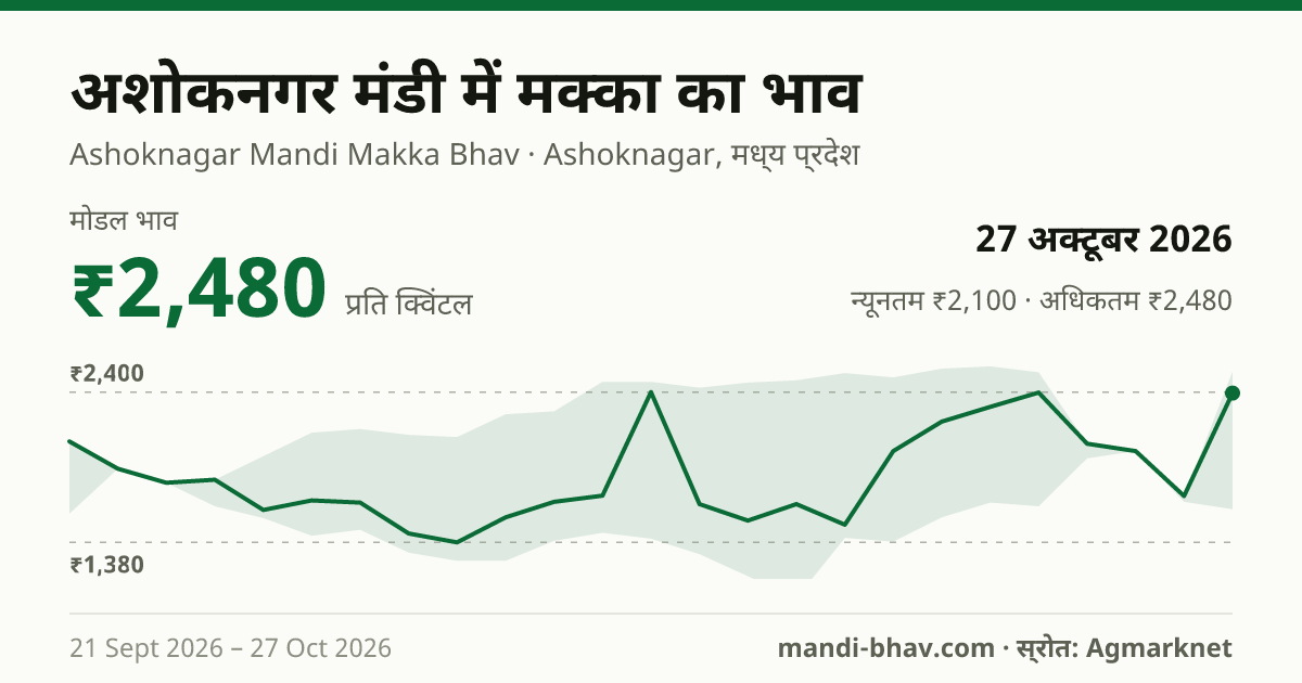 अशोकनगर मंडी में मक्का का भाव 27 अक्टूबर 2026: मोडल ₹2,480 प्रति क्विंटल, भाव के रुझान का चार्ट