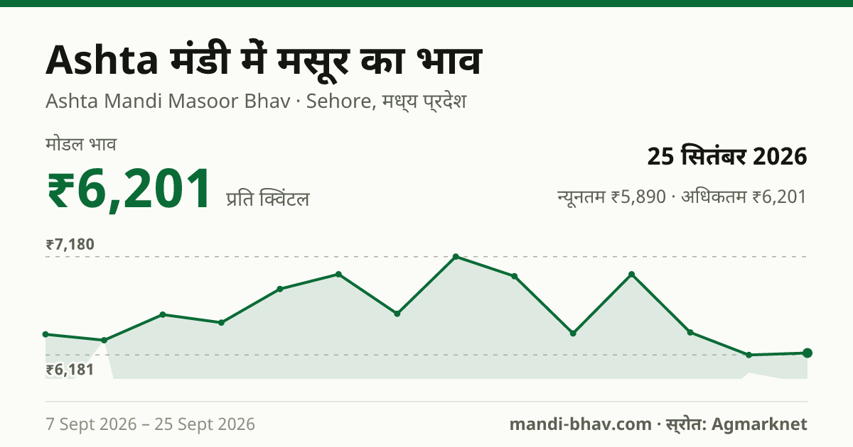 Ashta मंडी में मसूर का भाव 25 सितंबर 2026: मोडल ₹6,201 प्रति क्विंटल, भाव के रुझान का चार्ट