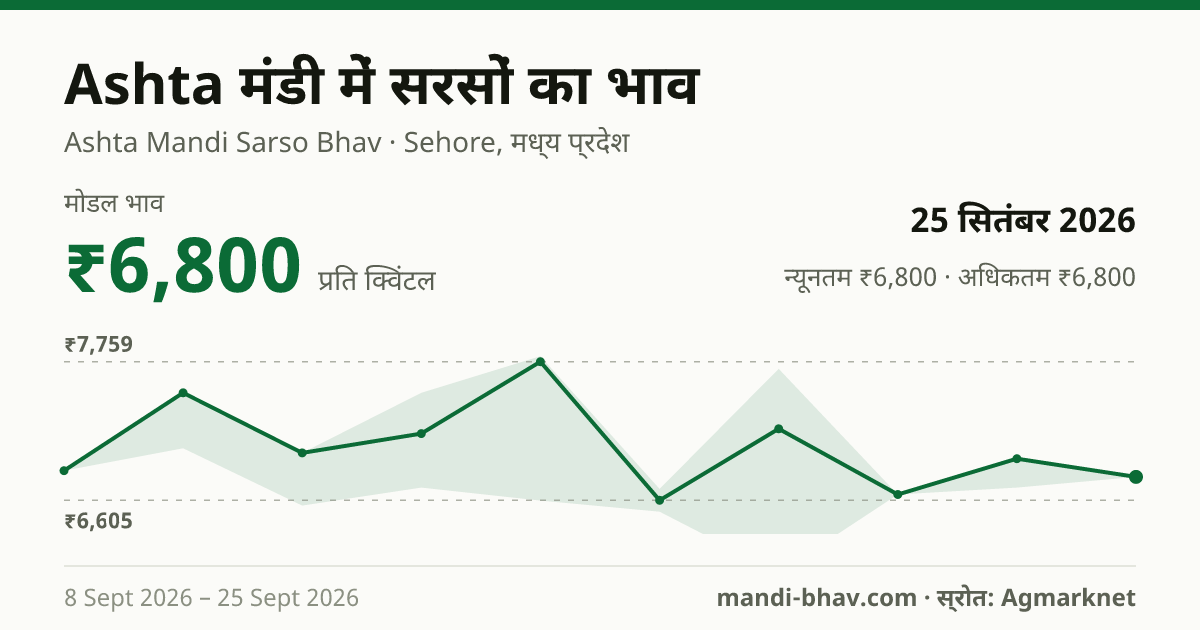 Ashta मंडी में सरसों का भाव 25 सितंबर 2026: मोडल ₹6,800 प्रति क्विंटल, भाव के रुझान का चार्ट