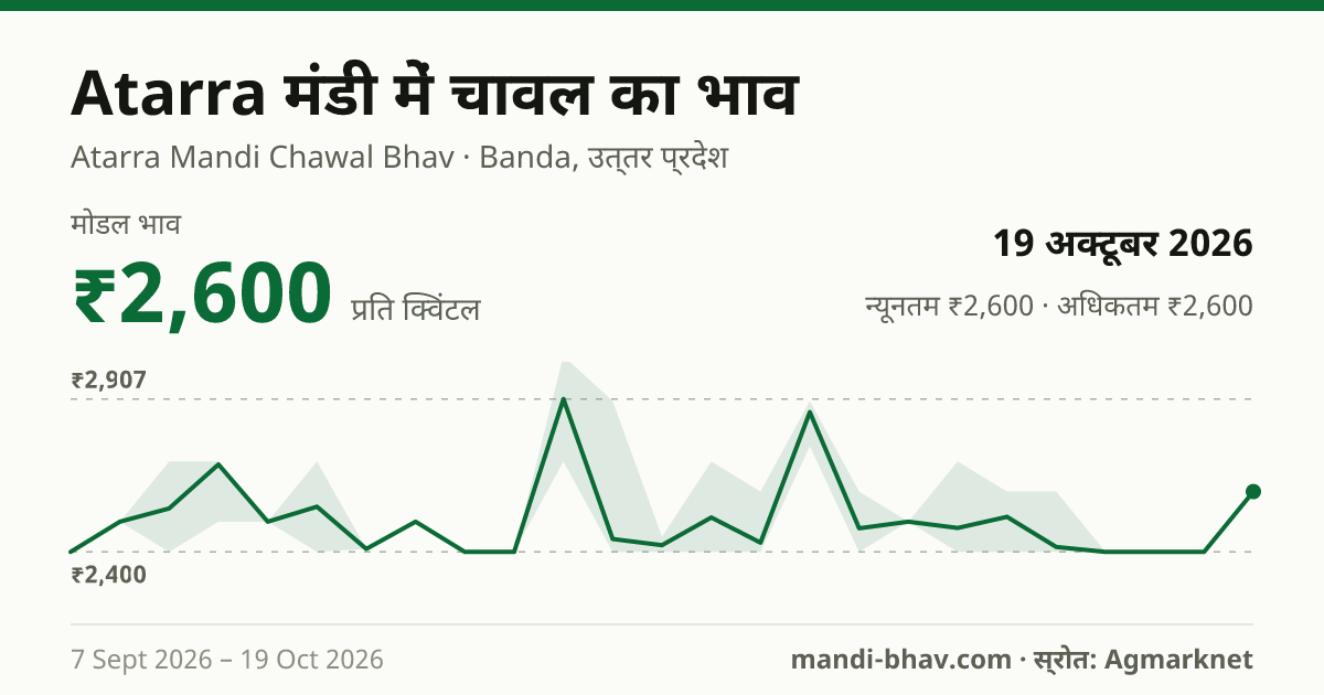 Atarra मंडी में चावल का भाव 19 अक्टूबर 2026: मोडल ₹2,600 प्रति क्विंटल, भाव के रुझान का चार्ट