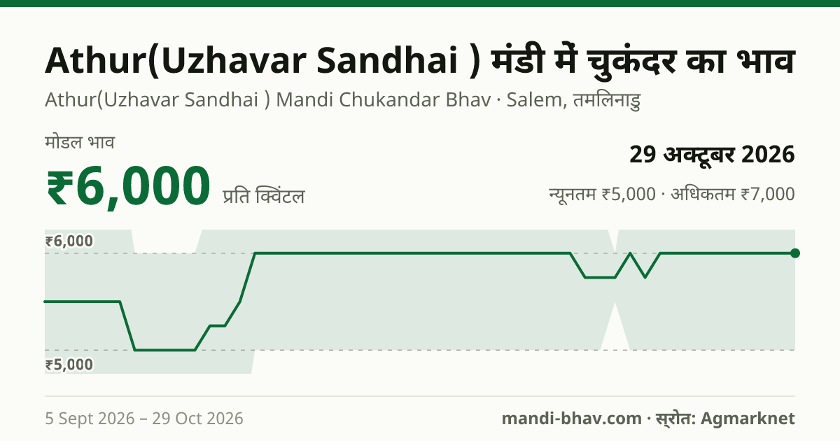 Athur(Uzhavar Sandhai ) मंडी में चुकंदर का भाव 29 अक्टूबर 2026: मोडल ₹6,000 प्रति क्विंटल, भाव के रुझान का चार्ट