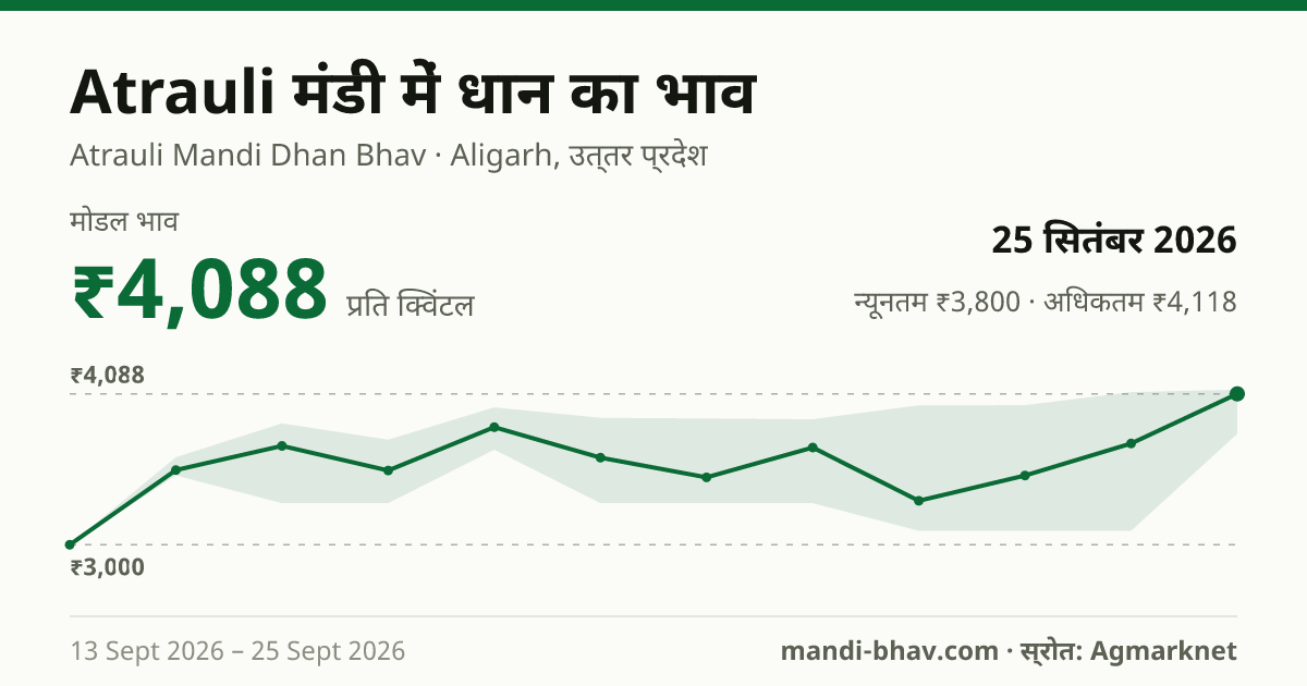 Atrauli मंडी में धान का भाव 25 सितंबर 2026: मोडल ₹4,088 प्रति क्विंटल, भाव के रुझान का चार्ट