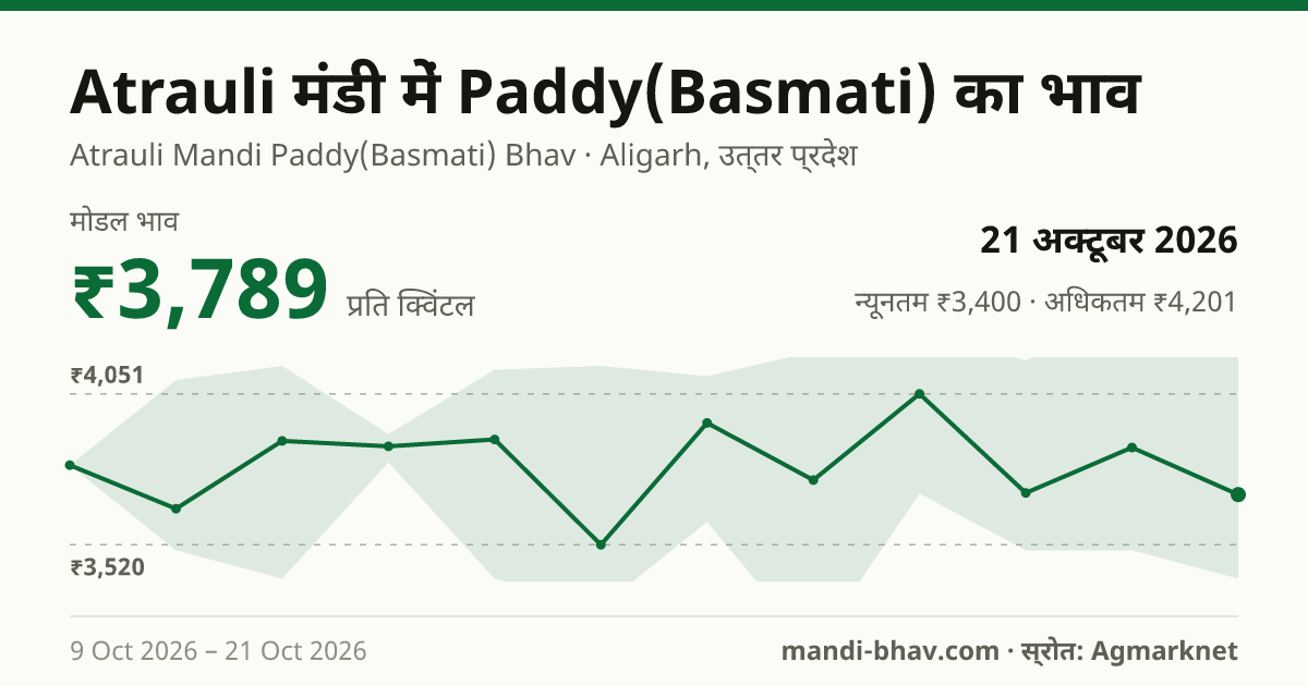 Atrauli मंडी में Paddy(Basmati) का भाव 21 अक्टूबर 2026: मोडल ₹3,789 प्रति क्विंटल, भाव के रुझान का चार्ट