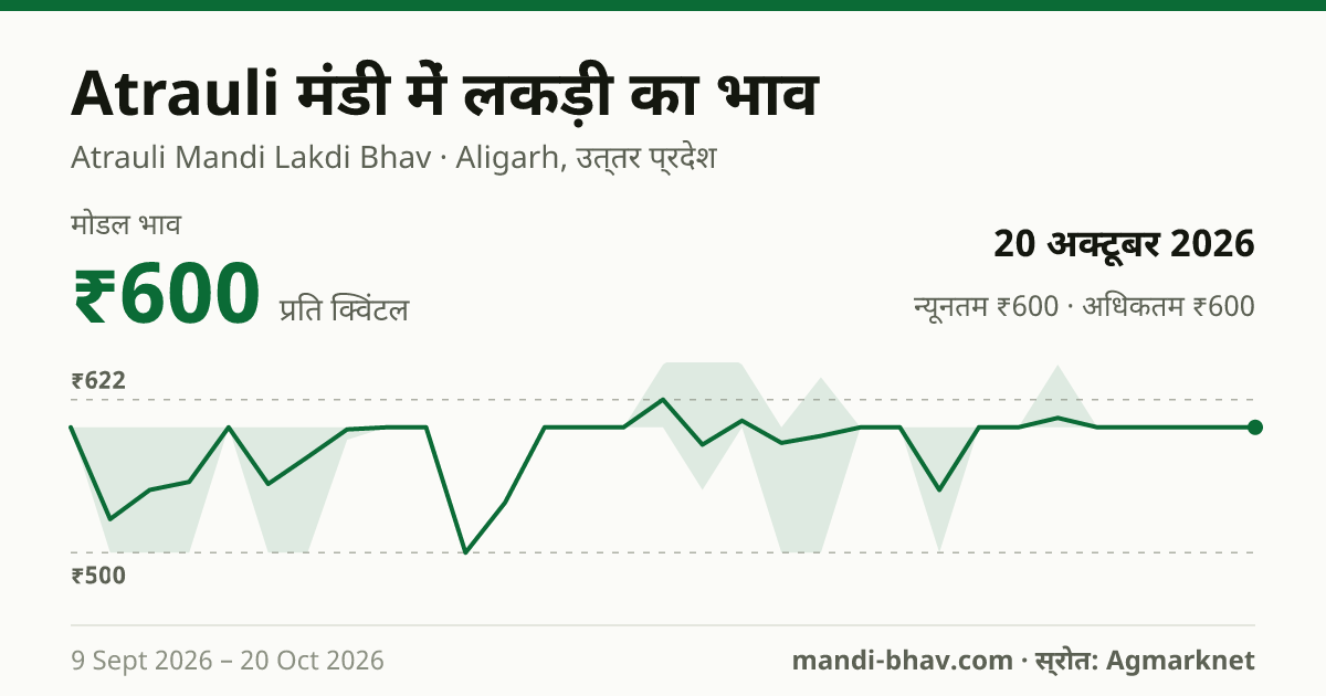 Atrauli मंडी में लकड़ी का भाव 20 अक्टूबर 2026: मोडल ₹600 प्रति क्विंटल, भाव के रुझान का चार्ट