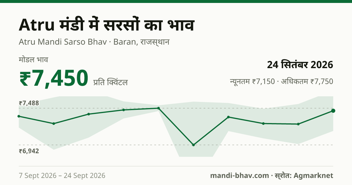 Atru मंडी में सरसों का भाव 24 सितंबर 2026: मोडल ₹7,450 प्रति क्विंटल, भाव के रुझान का चार्ट