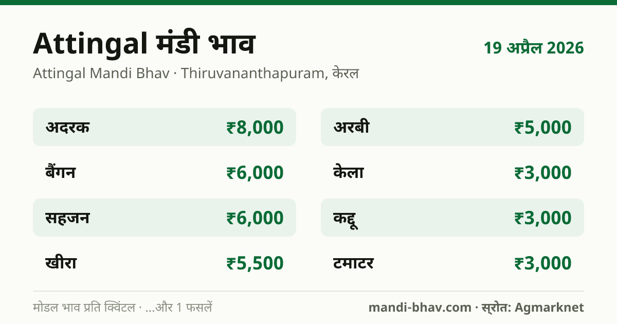 Attingal मंडी भाव 19 अप्रैल 2026: फसलवार मोडल रेट प्रति क्विंटल