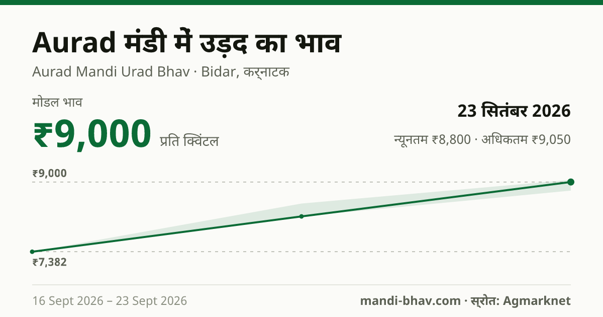 Aurad मंडी में उड़द का भाव 23 सितंबर 2026: मोडल ₹9,000 प्रति क्विंटल, भाव के रुझान का चार्ट