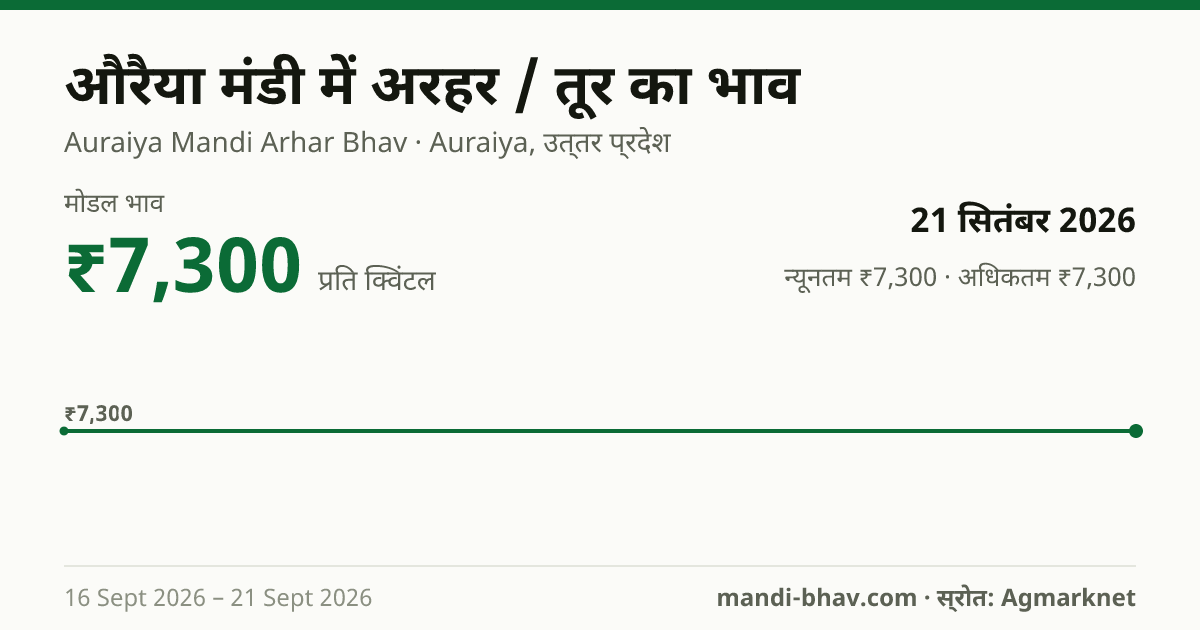 औरैया मंडी में अरहर / तूर का भाव 21 सितंबर 2026: मोडल ₹7,300 प्रति क्विंटल, भाव के रुझान का चार्ट