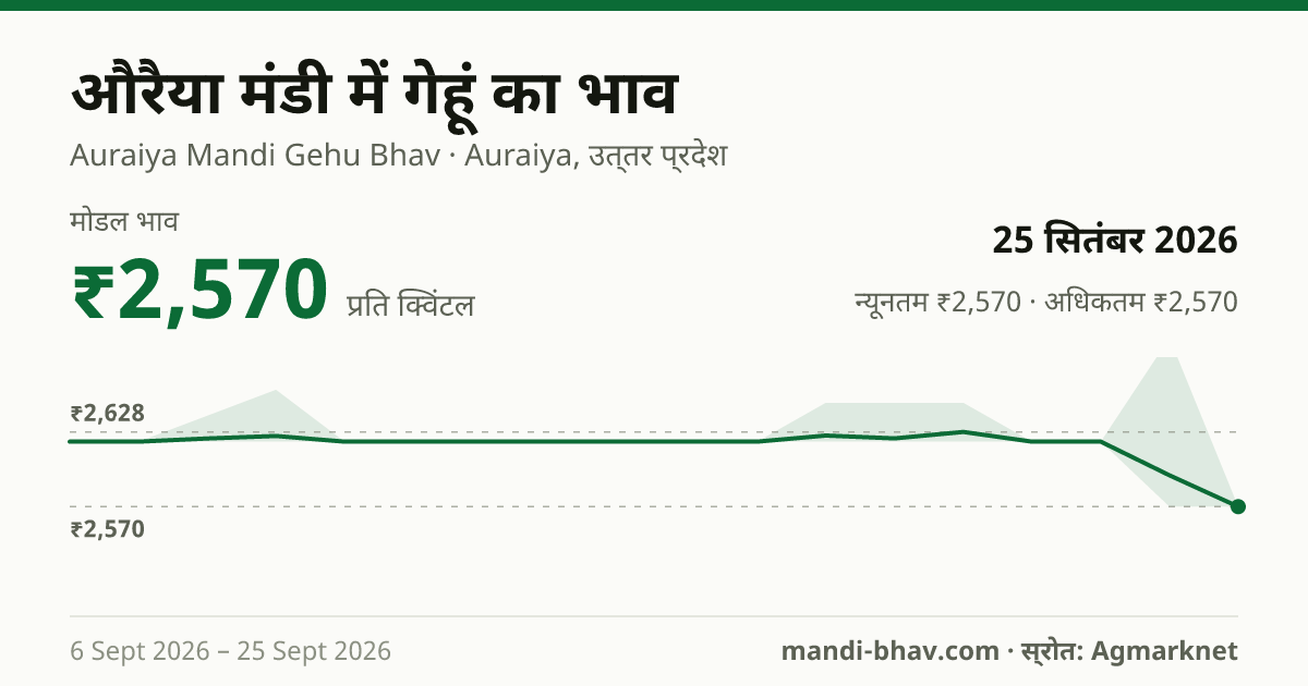 औरैया मंडी में गेहूं का भाव 25 सितंबर 2026: मोडल ₹2,570 प्रति क्विंटल, भाव के रुझान का चार्ट
