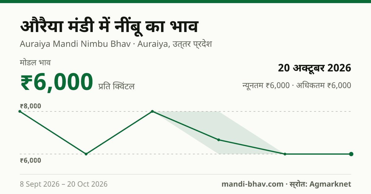 औरैया मंडी में नींबू का भाव 20 अक्टूबर 2026: मोडल ₹6,000 प्रति क्विंटल, भाव के रुझान का चार्ट