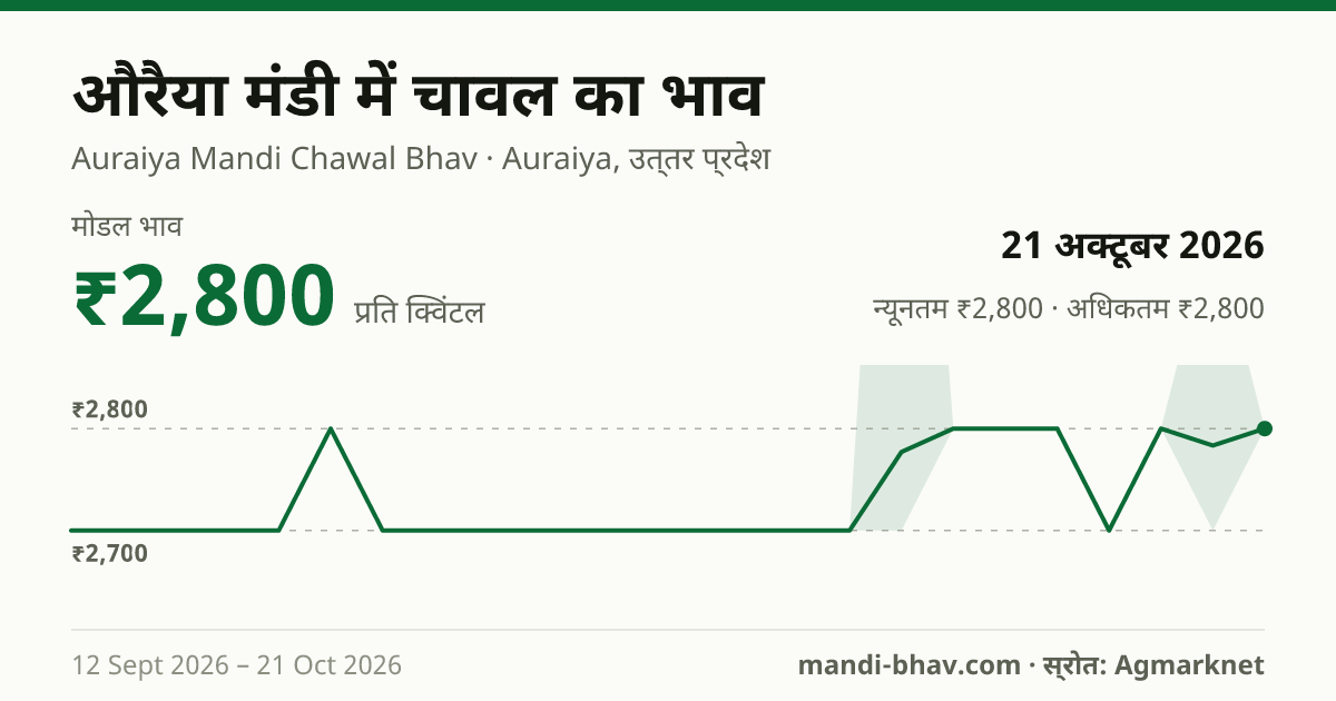 औरैया मंडी में चावल का भाव 21 अक्टूबर 2026: मोडल ₹2,800 प्रति क्विंटल, भाव के रुझान का चार्ट