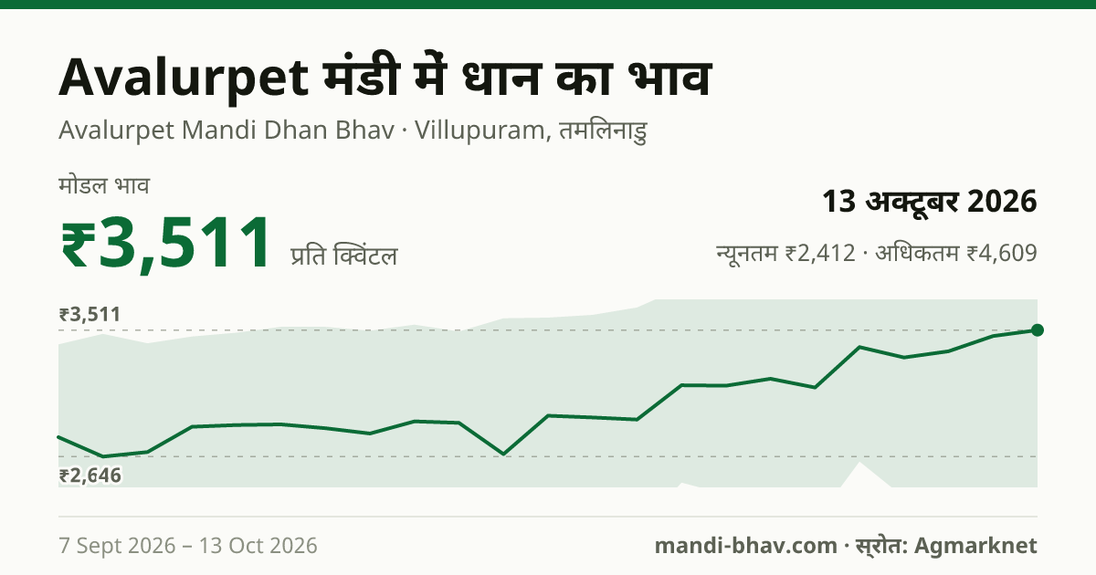 Avalurpet मंडी में धान का भाव 13 अक्टूबर 2026: मोडल ₹3,511 प्रति क्विंटल, भाव के रुझान का चार्ट
