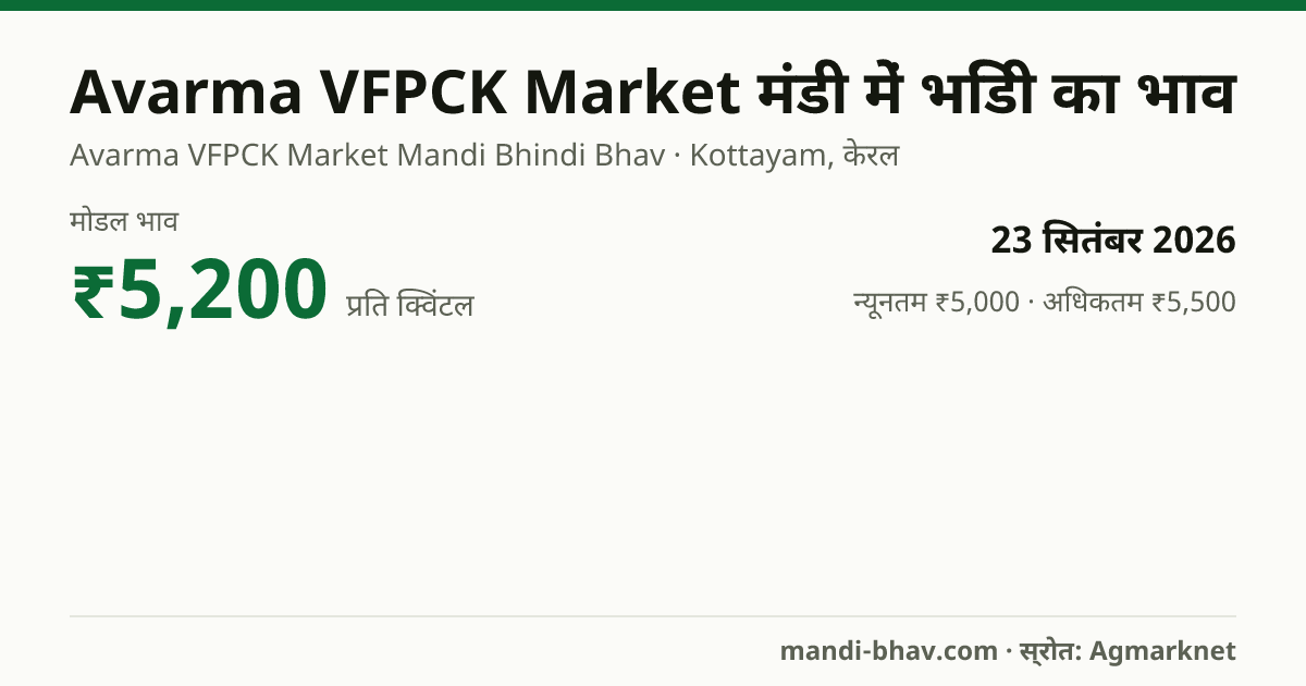 Avarma VFPCK Market मंडी में भिंडी का भाव 23 सितंबर 2026: मोडल ₹5,200 प्रति क्विंटल, भाव के रुझान का चार्ट