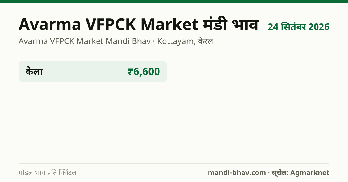 Avarma VFPCK Market मंडी भाव 24 सितंबर 2026: फसलवार मोडल रेट प्रति क्विंटल