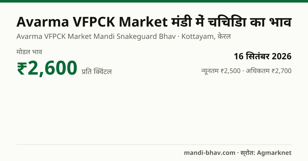 Avarma VFPCK Market मंडी में चिचिंडा का भाव 16 सितंबर 2026: मोडल ₹2,600 प्रति क्विंटल, भाव के रुझान का चार्ट