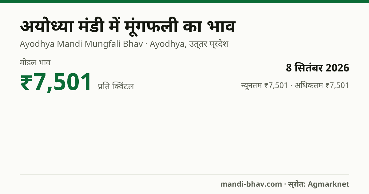 अयोध्या मंडी में मूंगफली का भाव 8 सितंबर 2026: मोडल ₹7,501 प्रति क्विंटल, भाव के रुझान का चार्ट