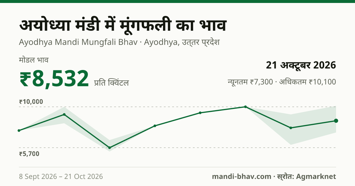 अयोध्या मंडी में मूंगफली का भाव 21 अक्टूबर 2026: मोडल ₹8,532 प्रति क्विंटल, भाव के रुझान का चार्ट