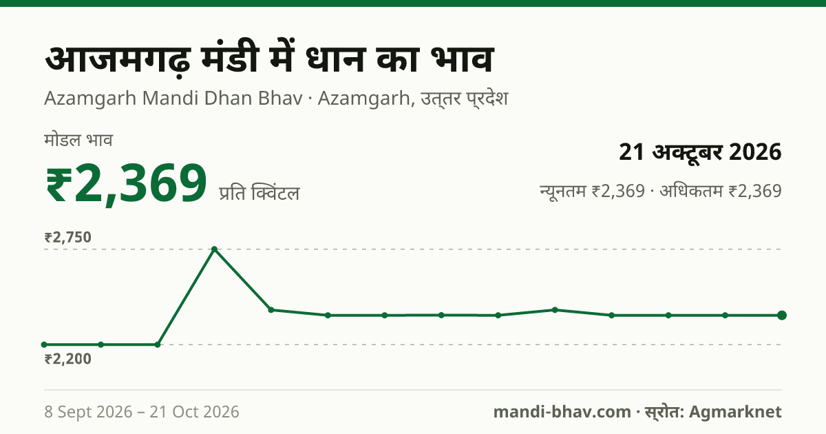 आजमगढ़ मंडी में धान का भाव 21 अक्टूबर 2026: मोडल ₹2,369 प्रति क्विंटल, भाव के रुझान का चार्ट