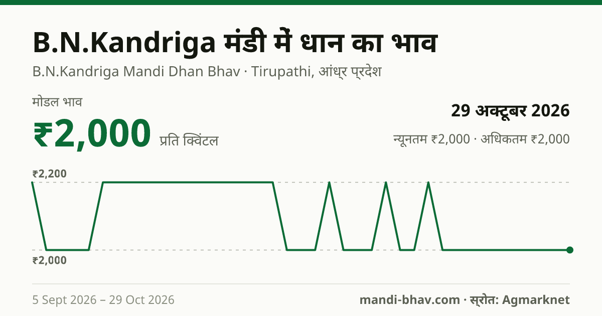 B.N.Kandriga मंडी में धान का भाव 29 अक्टूबर 2026: मोडल ₹2,000 प्रति क्विंटल, भाव के रुझान का चार्ट