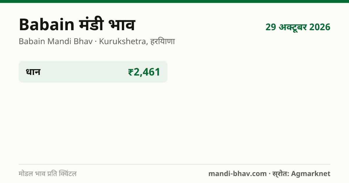 Babain मंडी भाव 29 अक्टूबर 2026: फसलवार मोडल रेट प्रति क्विंटल