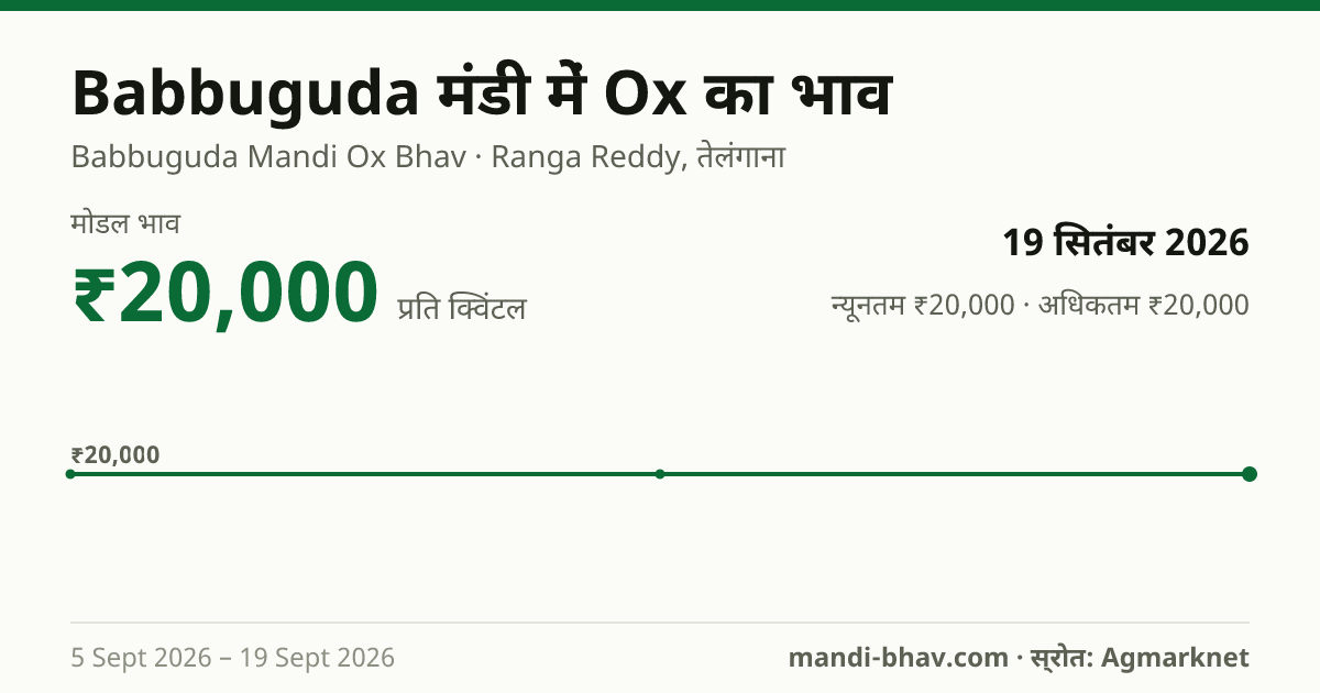 Babbuguda मंडी में Ox का भाव 19 सितंबर 2026: मोडल ₹20,000 प्रति क्विंटल, भाव के रुझान का चार्ट