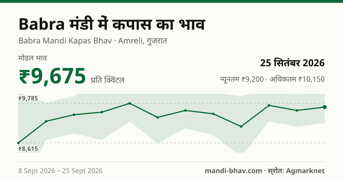 Babra मंडी में कपास का भाव 25 सितंबर 2026: मोडल ₹9,675 प्रति क्विंटल, भाव के रुझान का चार्ट