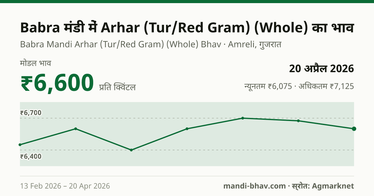 Babra मंडी में Arhar (Tur/Red Gram) (Whole) का भाव 20 अप्रैल 2026: मोडल ₹6,600 प्रति क्विंटल, भाव के रुझान का चार्ट