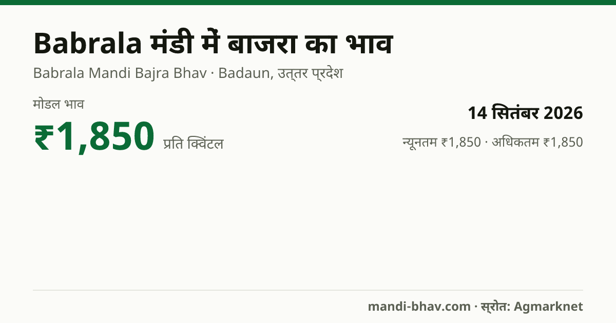 Babrala मंडी में बाजरा का भाव 14 सितंबर 2026: मोडल ₹1,850 प्रति क्विंटल, भाव के रुझान का चार्ट