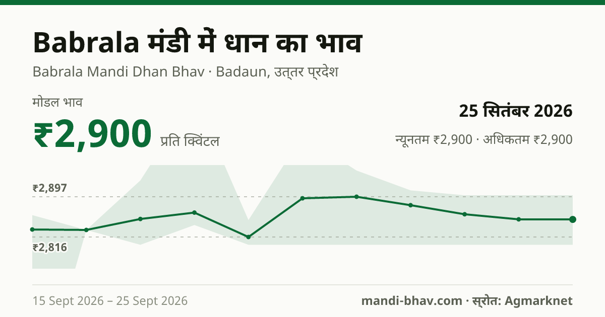 Babrala मंडी में धान का भाव 25 सितंबर 2026: मोडल ₹2,900 प्रति क्विंटल, भाव के रुझान का चार्ट