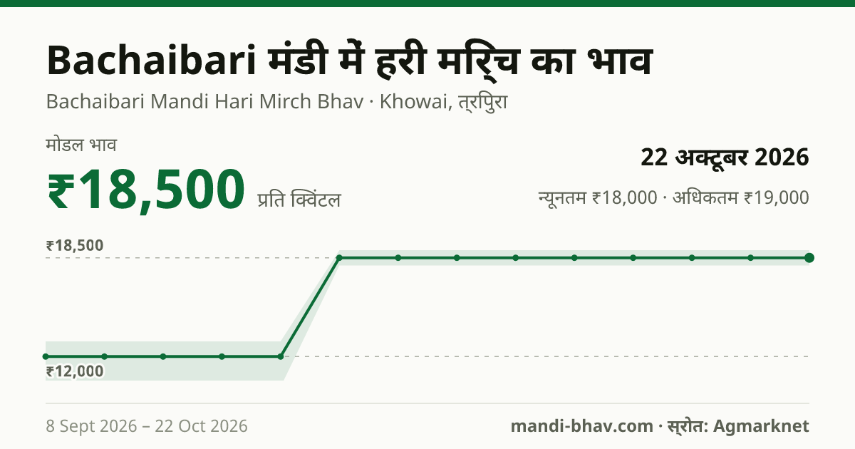Bachaibari मंडी में हरी मिर्च का भाव 22 अक्टूबर 2026: मोडल ₹18,500 प्रति क्विंटल, भाव के रुझान का चार्ट