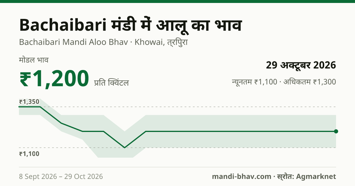 Bachaibari मंडी में आलू का भाव 29 अक्टूबर 2026: मोडल ₹1,200 प्रति क्विंटल, भाव के रुझान का चार्ट