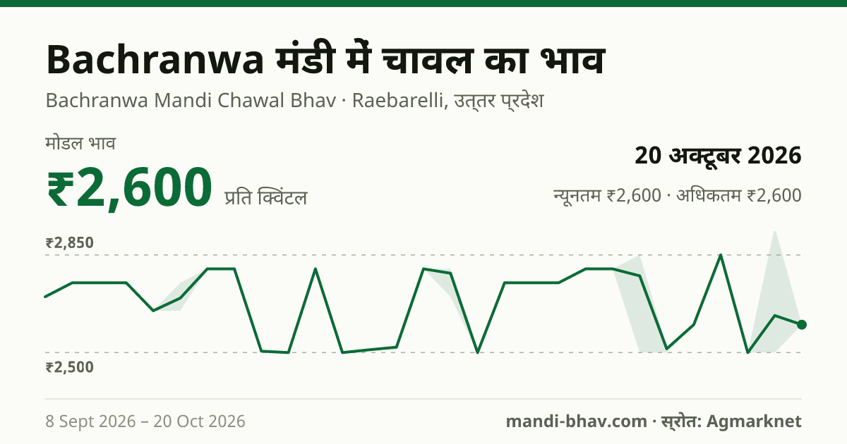 Bachranwa मंडी में चावल का भाव 20 अक्टूबर 2026: मोडल ₹2,600 प्रति क्विंटल, भाव के रुझान का चार्ट