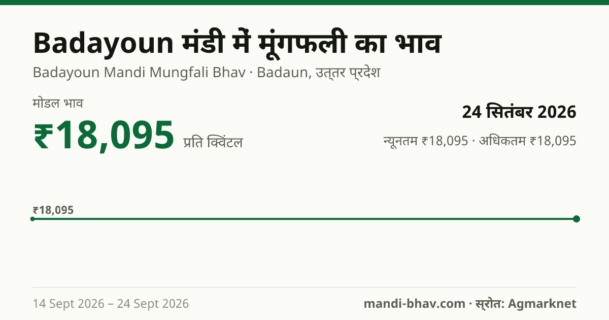 Badayoun मंडी में मूंगफली का भाव 24 सितंबर 2026: मोडल ₹18,095 प्रति क्विंटल, भाव के रुझान का चार्ट