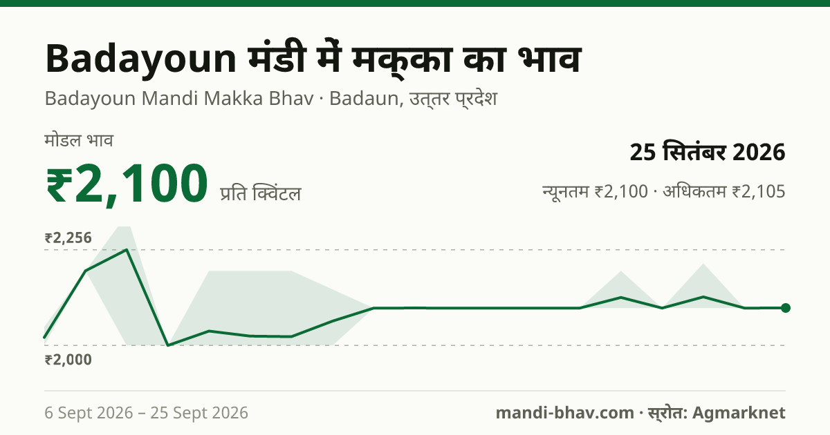Badayoun मंडी में मक्का का भाव 25 सितंबर 2026: मोडल ₹2,100 प्रति क्विंटल, भाव के रुझान का चार्ट