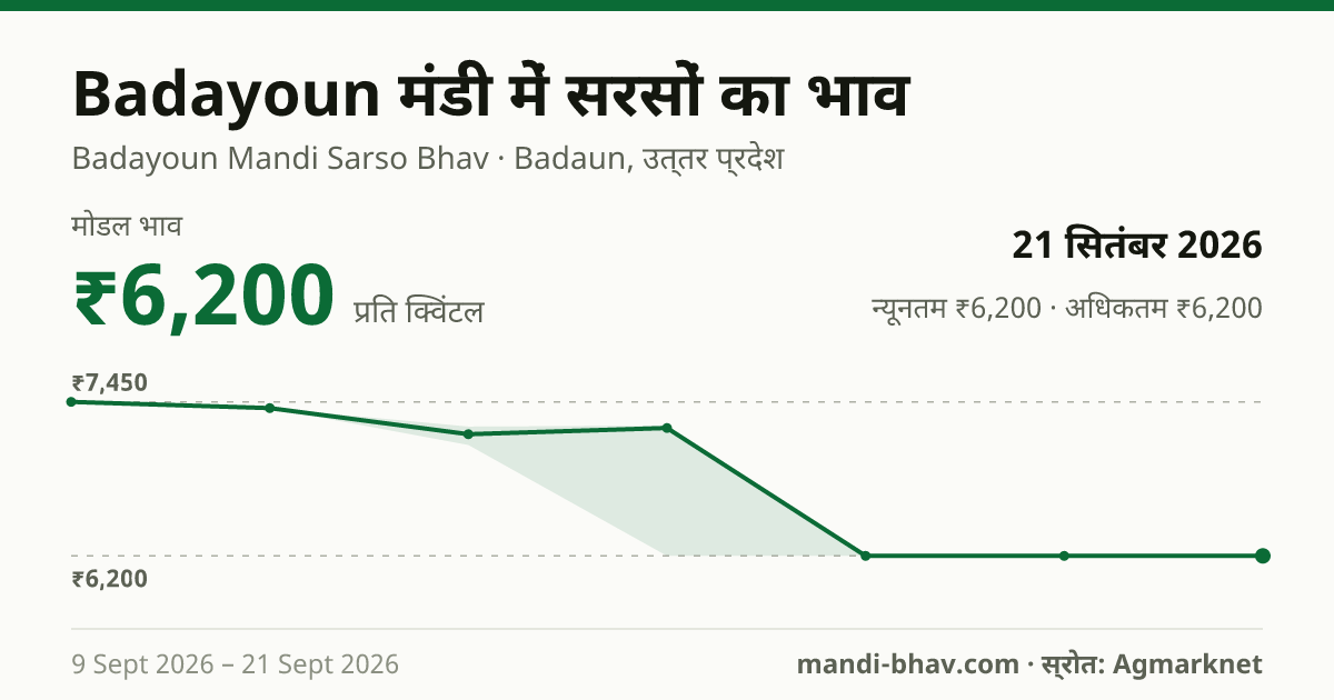 Badayoun मंडी में सरसों का भाव 21 सितंबर 2026: मोडल ₹6,200 प्रति क्विंटल, भाव के रुझान का चार्ट