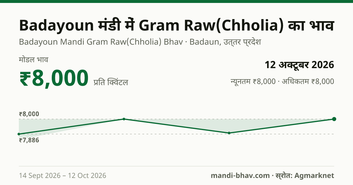 Badayoun मंडी में Gram Raw(Chholia) का भाव 12 अक्टूबर 2026: मोडल ₹8,000 प्रति क्विंटल, भाव के रुझान का चार्ट
