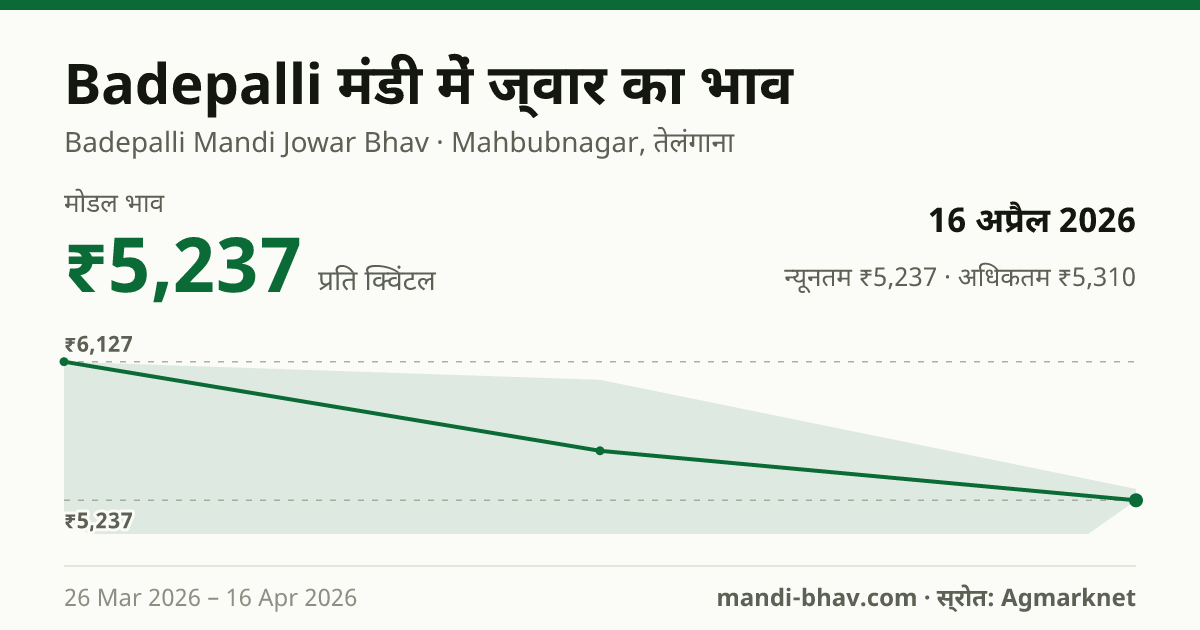 Badepalli मंडी में ज्वार का भाव 16 अप्रैल 2026: मोडल ₹5,237 प्रति क्विंटल, भाव के रुझान का चार्ट