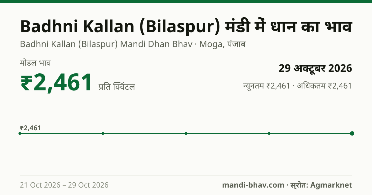 Badhni Kallan (Bilaspur) मंडी में धान का भाव 29 अक्टूबर 2026: मोडल ₹2,461 प्रति क्विंटल, भाव के रुझान का चार्ट