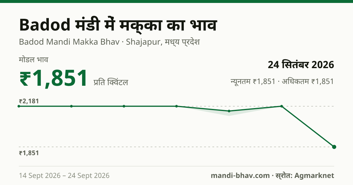 Badod मंडी में मक्का का भाव 24 सितंबर 2026: मोडल ₹1,851 प्रति क्विंटल, भाव के रुझान का चार्ट