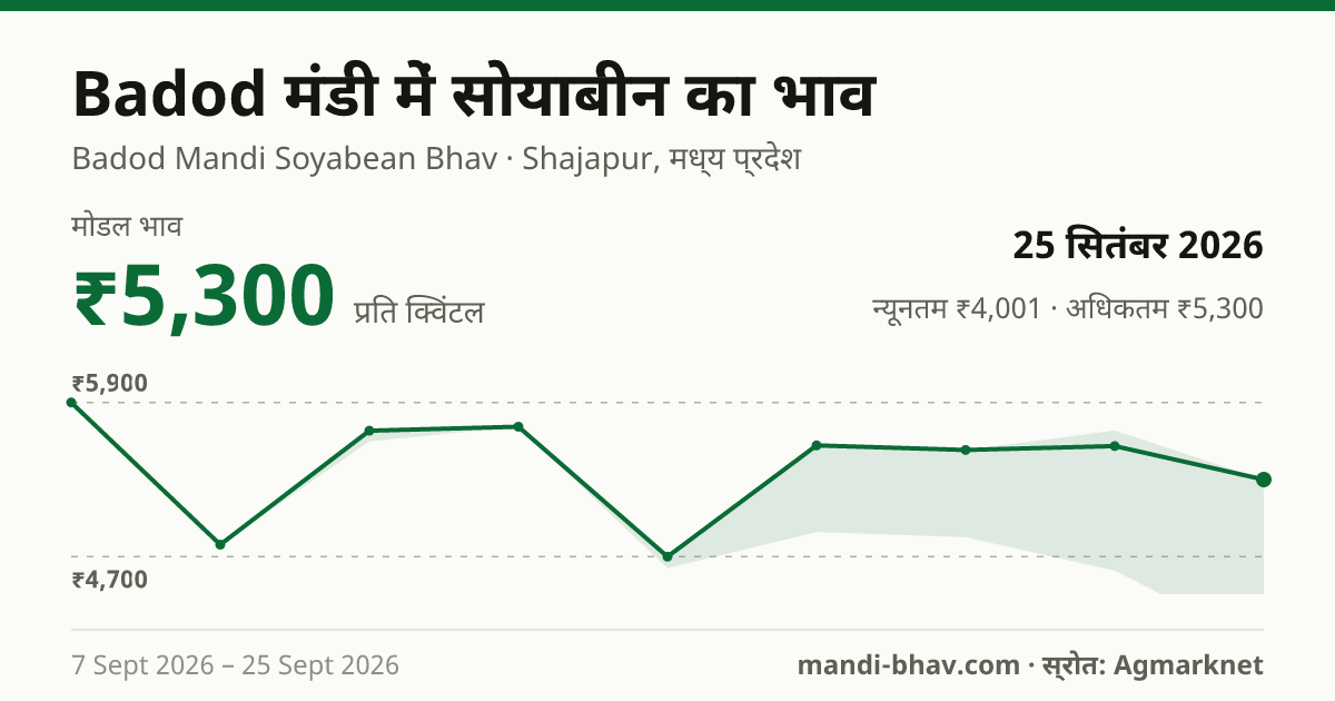Badod मंडी में सोयाबीन का भाव 25 सितंबर 2026: मोडल ₹5,300 प्रति क्विंटल, भाव के रुझान का चार्ट