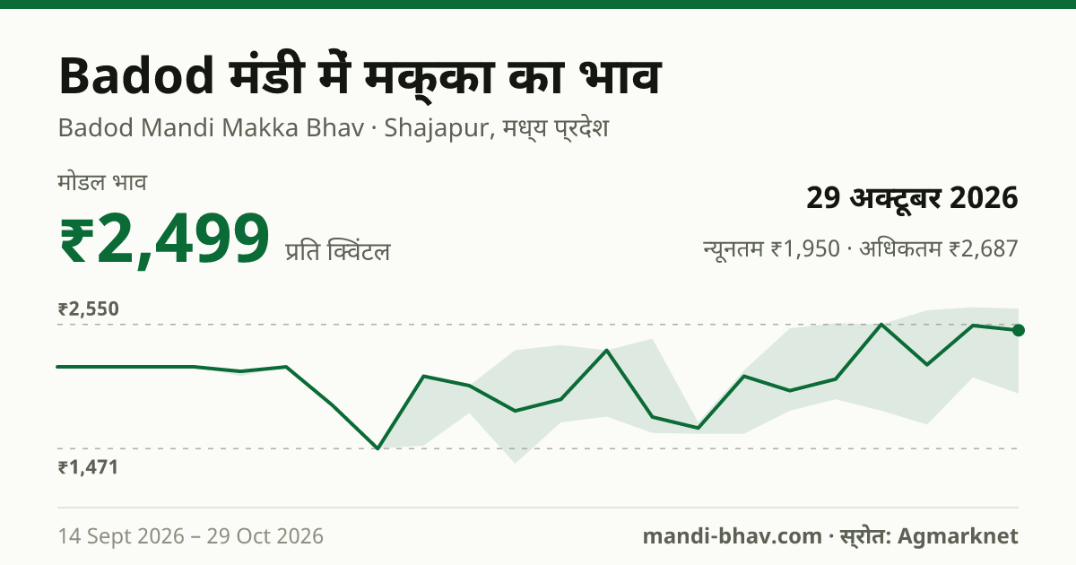 Badod मंडी में मक्का का भाव 29 अक्टूबर 2026: मोडल ₹2,499 प्रति क्विंटल, भाव के रुझान का चार्ट
