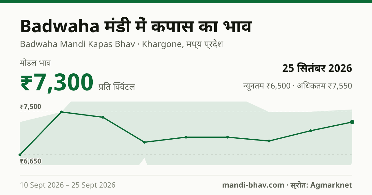 Badwaha मंडी में कपास का भाव 25 सितंबर 2026: मोडल ₹7,300 प्रति क्विंटल, भाव के रुझान का चार्ट