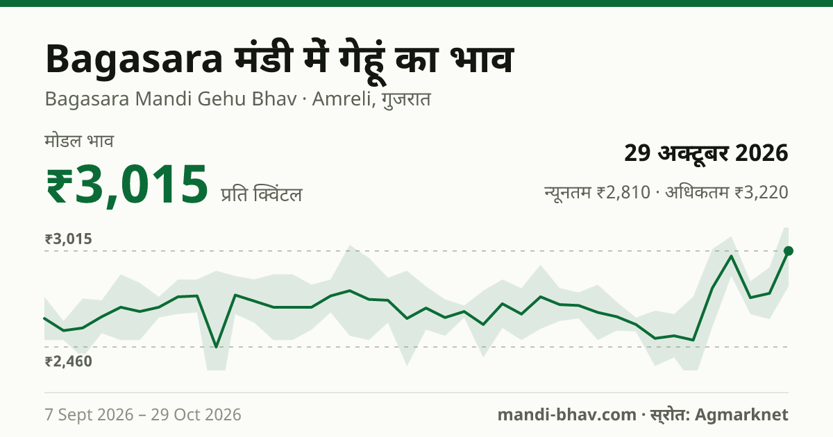 Bagasara मंडी में गेहूं का भाव 29 अक्टूबर 2026: मोडल ₹3,015 प्रति क्विंटल, भाव के रुझान का चार्ट