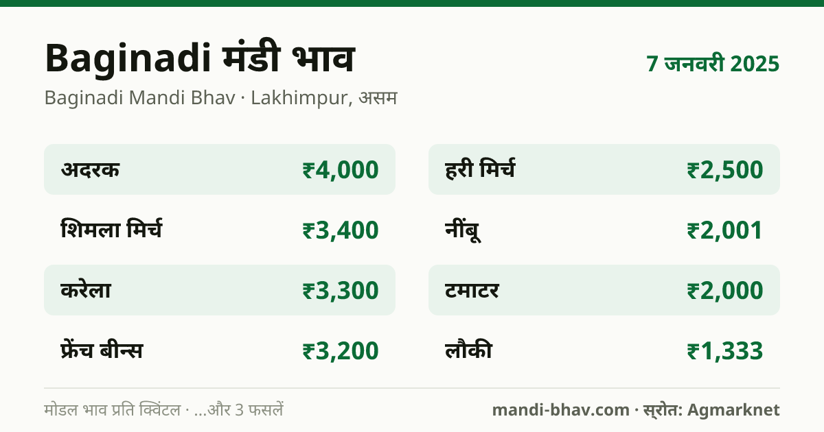 Baginadi मंडी भाव 7 जनवरी 2025: फसलवार मोडल रेट प्रति क्विंटल