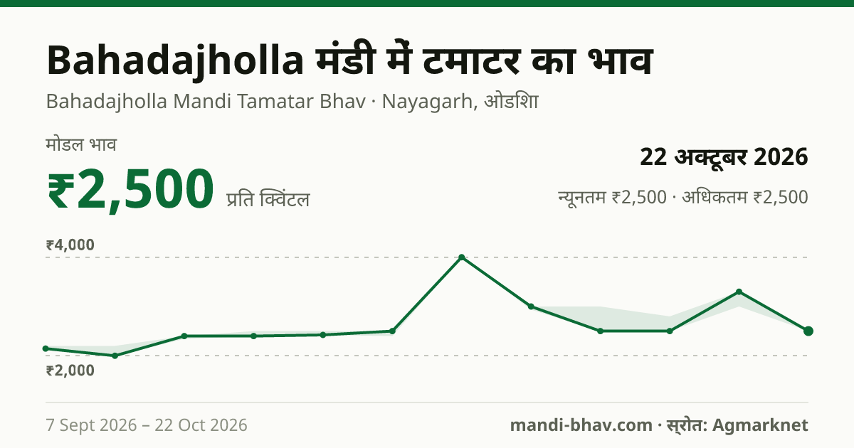 Bahadajholla मंडी में टमाटर का भाव 22 अक्टूबर 2026: मोडल ₹2,500 प्रति क्विंटल, भाव के रुझान का चार्ट