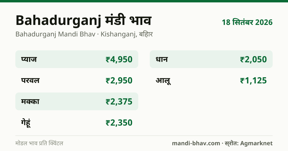 Bahadurganj मंडी भाव 18 सितंबर 2026: फसलवार मोडल रेट प्रति क्विंटल