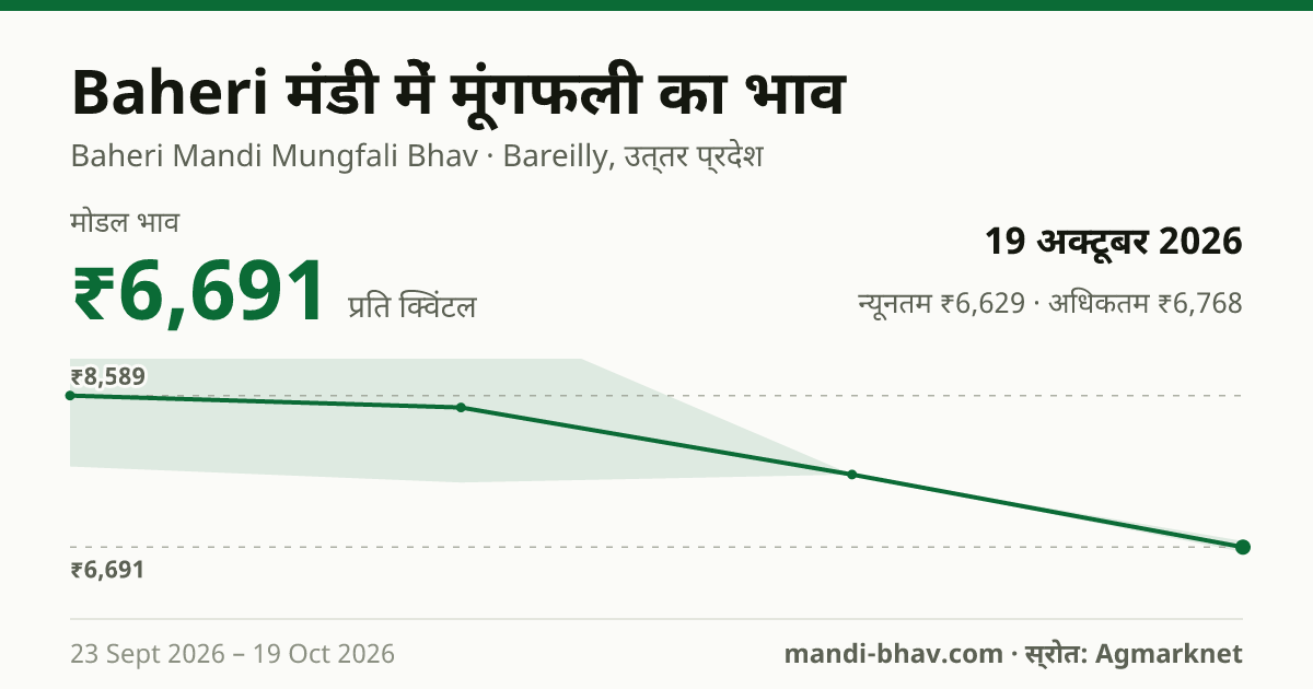Baheri मंडी में मूंगफली का भाव 19 अक्टूबर 2026: मोडल ₹6,691 प्रति क्विंटल, भाव के रुझान का चार्ट