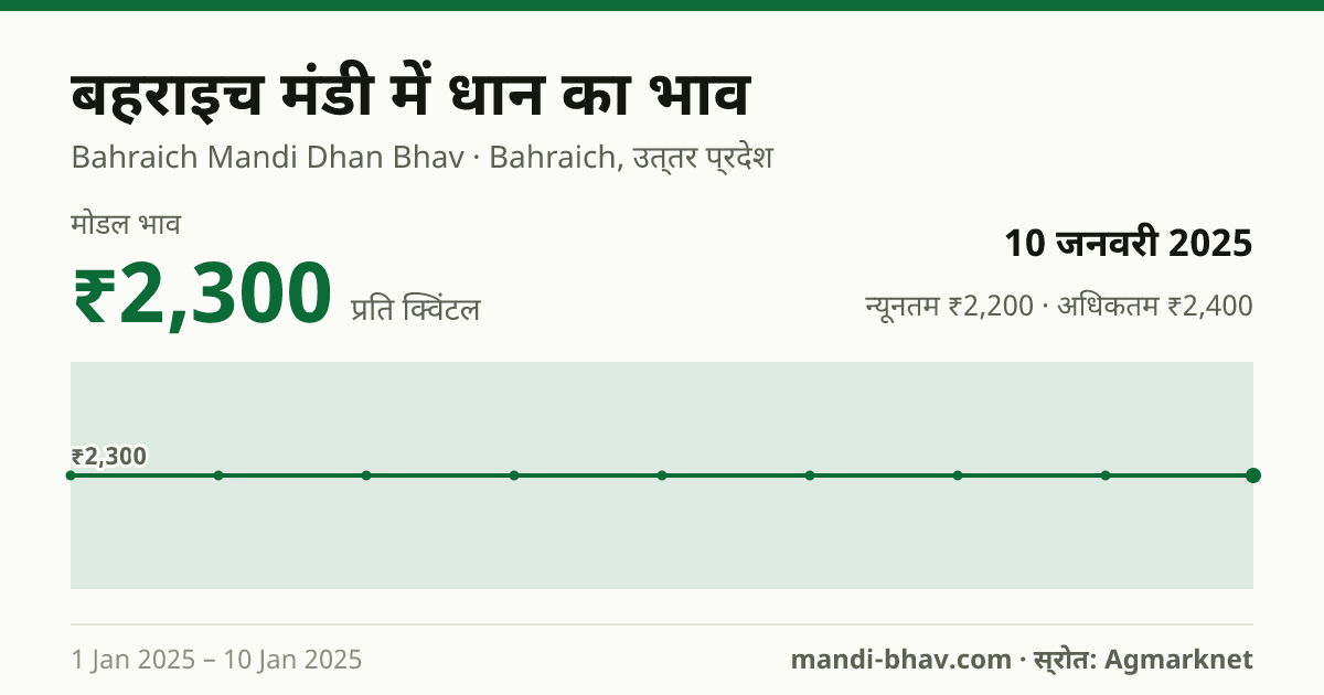 बहराइच मंडी में धान का भाव 10 जनवरी 2025: मोडल ₹2,300 प्रति क्विंटल, भाव के रुझान का चार्ट