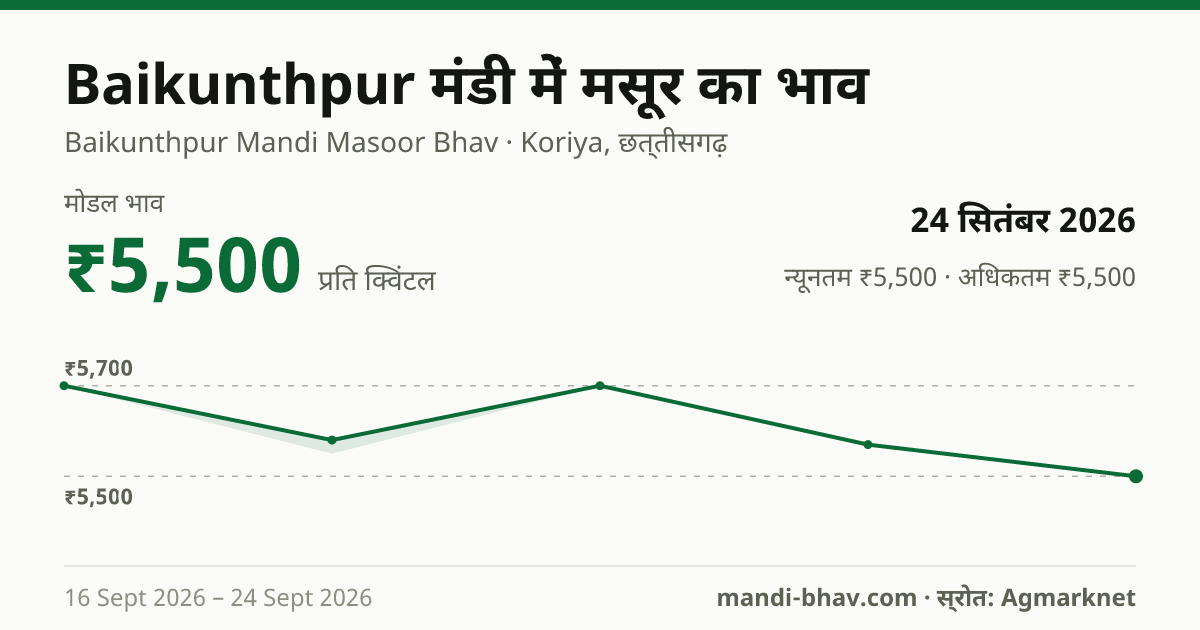 Baikunthpur मंडी में मसूर का भाव 24 सितंबर 2026: मोडल ₹5,500 प्रति क्विंटल, भाव के रुझान का चार्ट