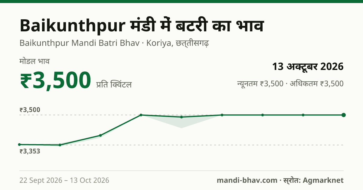 Baikunthpur मंडी में Buttery का भाव 13 अक्टूबर 2026: मोडल ₹3,500 प्रति क्विंटल, भाव के रुझान का चार्ट